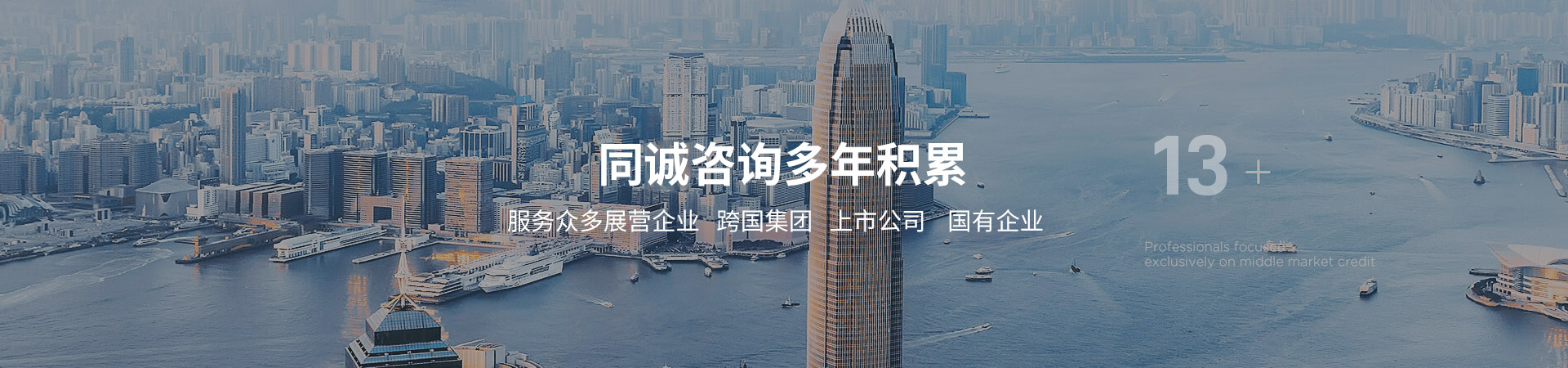 同诚工程咨询客户案例