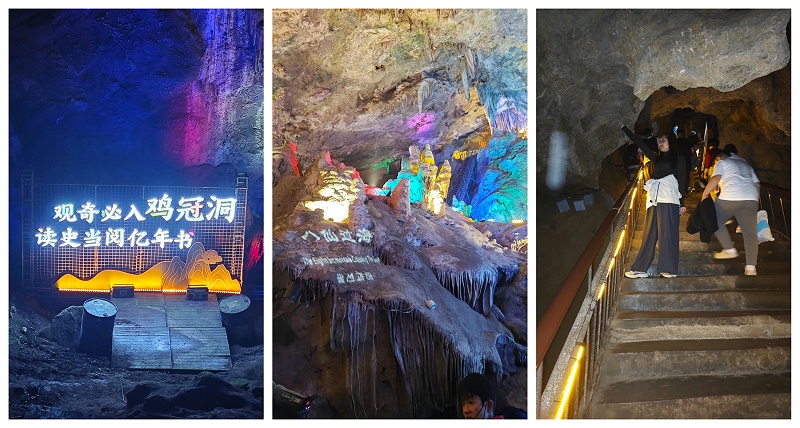 下载 (28)
