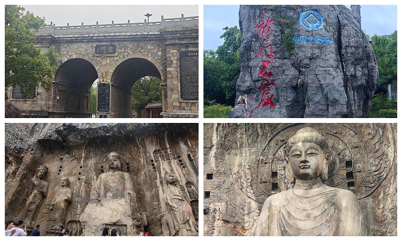 下载 (29)