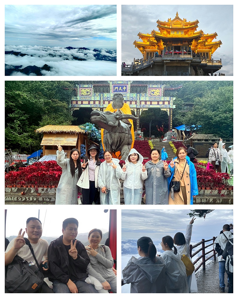 下载 (26)