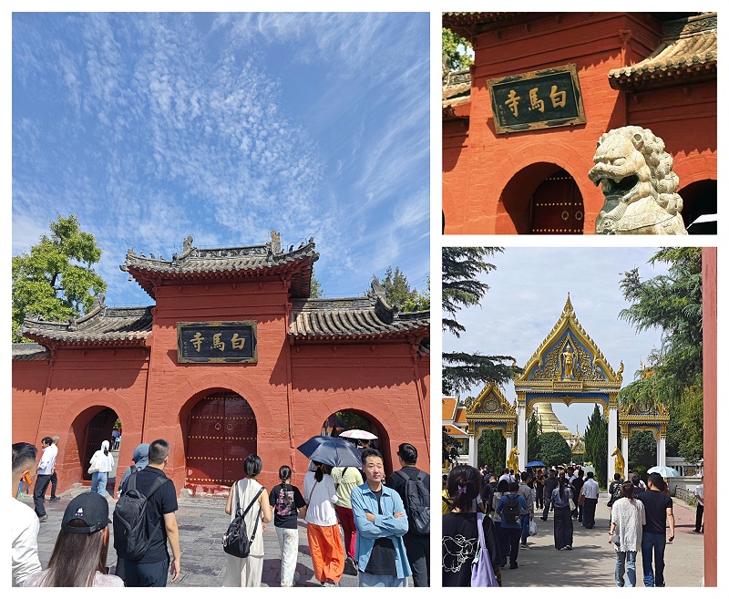 下载 (27)